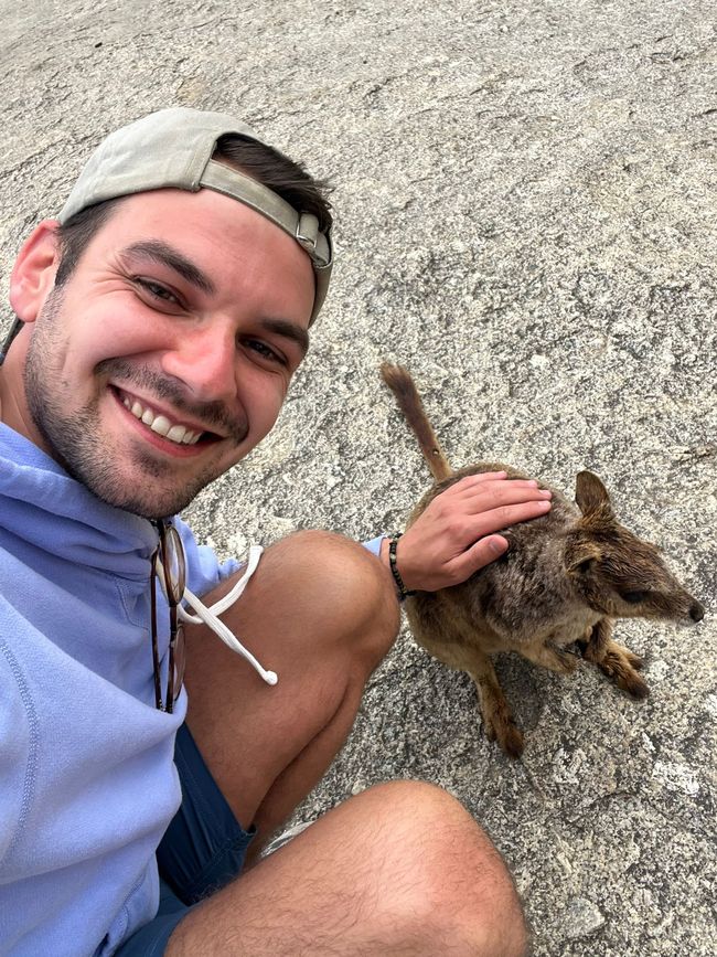 Cairns + Wallabys