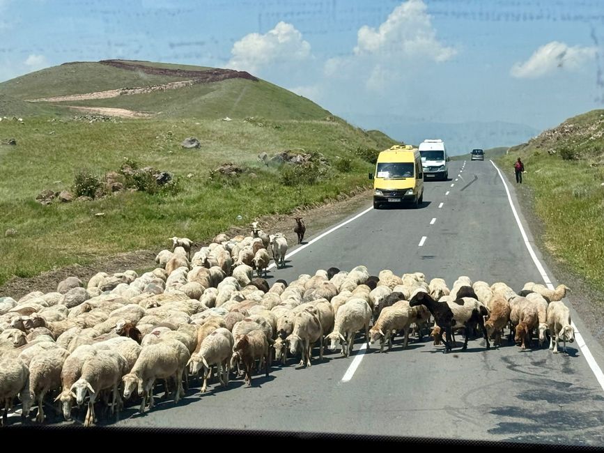 Armenien Tag 10 - Ab nach Hause 