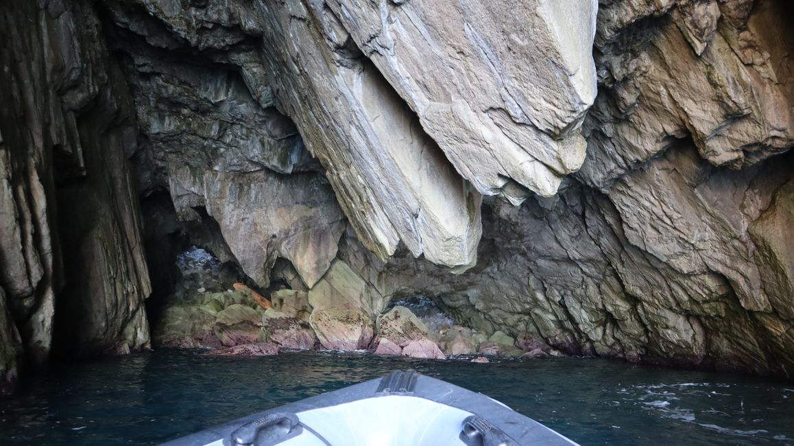 Bootstour entlang der Küste von Whitianga bis zur Cathedral Cove