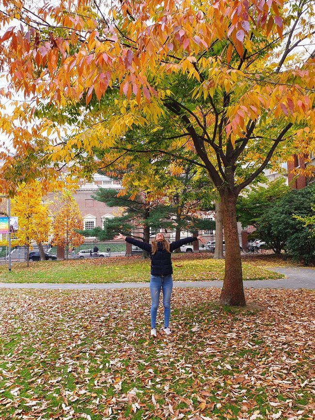 Harvard University Campus Boston