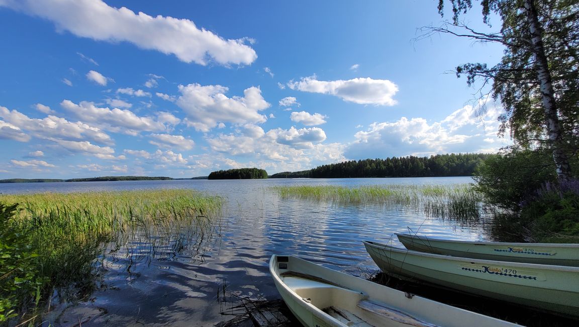 Finlandia 31 de mayo - 14 de junio de 2024 / 7 de junio