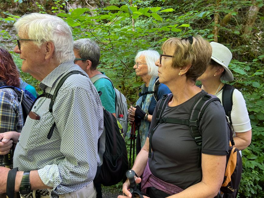 28 Wutachschlucht Pro Wolermoos