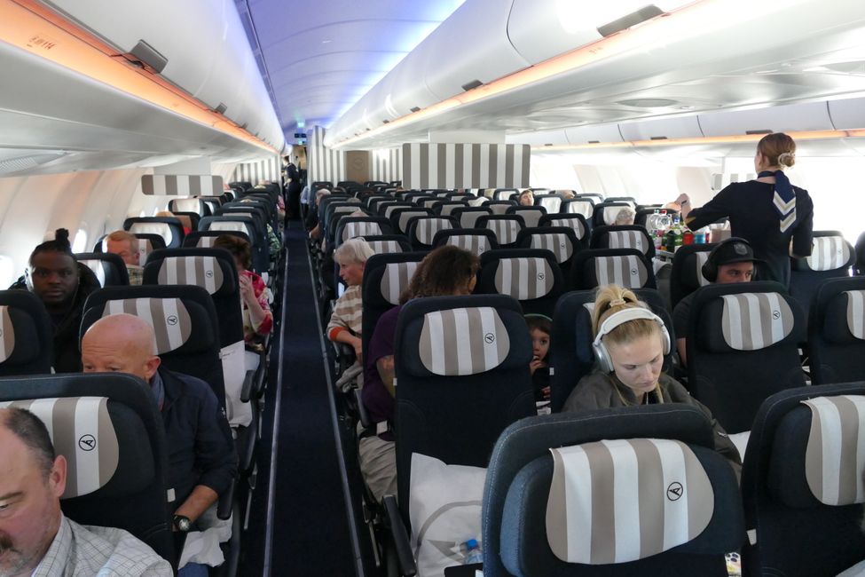 Premium Economy Condor