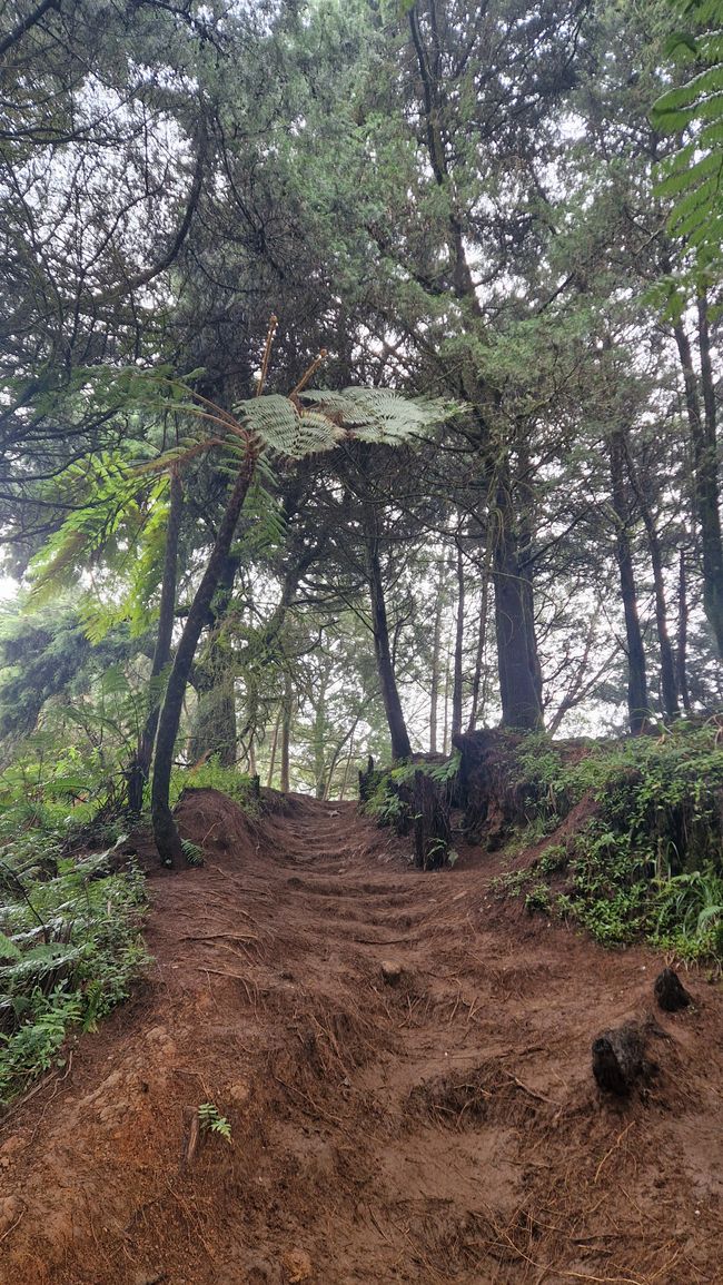 Semarang und Dieng – Dieng Plateau – Java – Indonesien