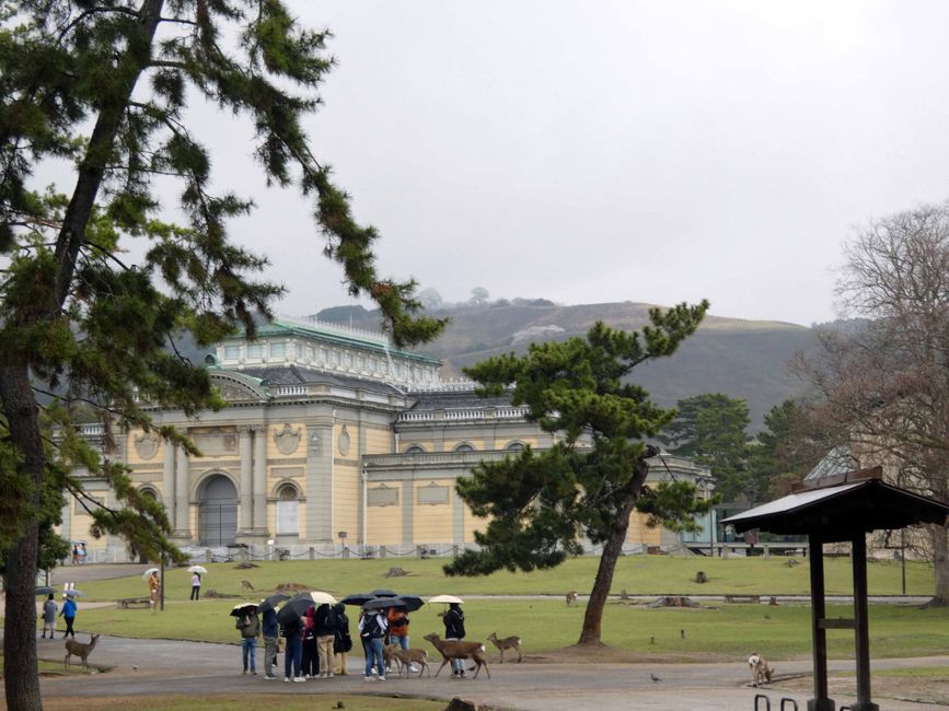 Nara National Museum