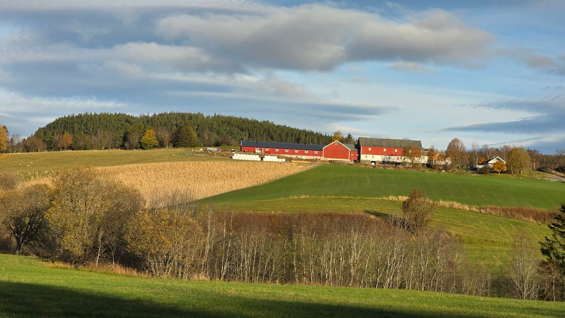 Trondheim 23-30 de octubre de 2025/25 de octubre