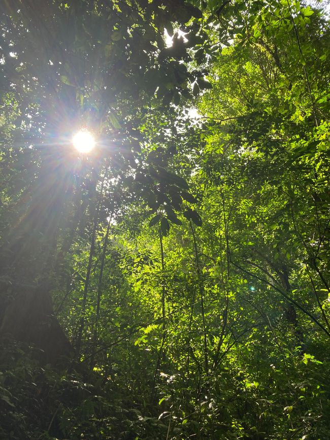 Kleine Wanderung