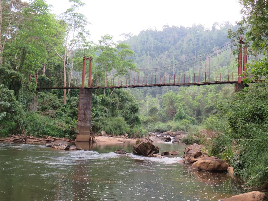 Sinharaja - l'ultima foresta pluviale dello Sri Lanka