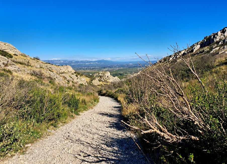 The Flavors of the Alpilles