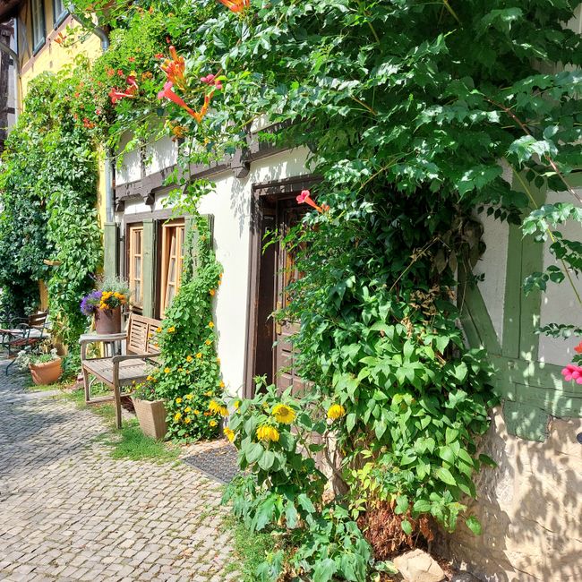 Quedlinburg - eine wunderschöne Altstadt im Harz