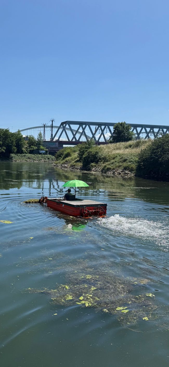 schwimmende Krautkehrmaschine