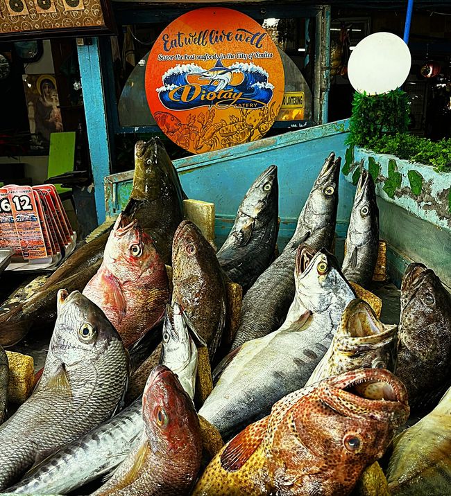 Bacolod, Fish Market