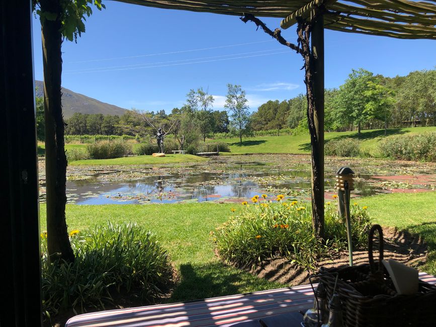 ... zum lauschigen Mittagessen