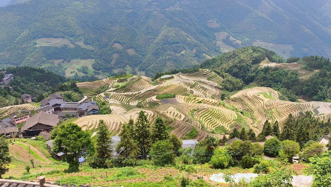 25. Mai Reisterrassen von Longsheng