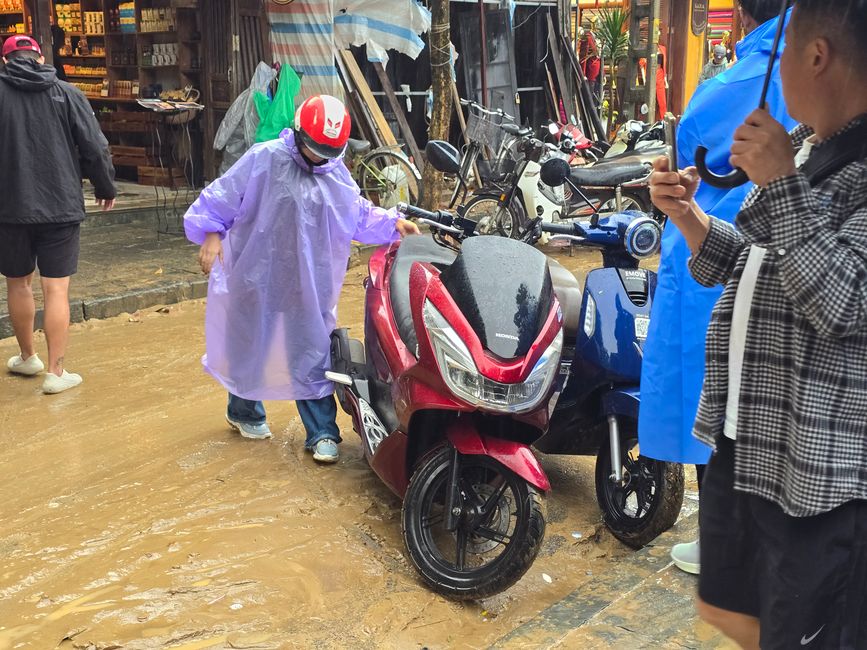 Hoi An - les travaux de nettoyage ont commencé