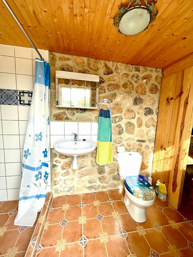 Shower and toilet.