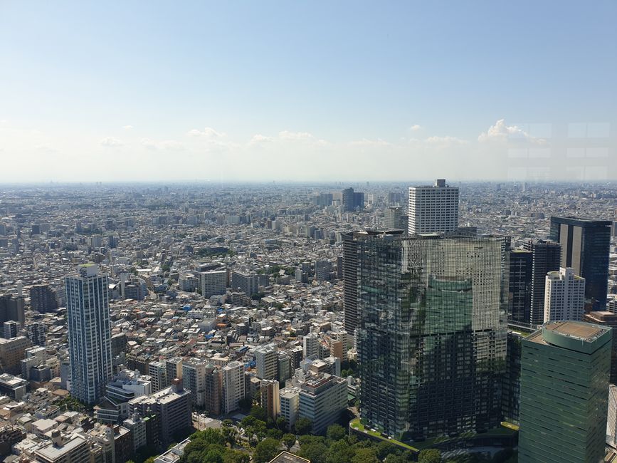 Tokyo from above