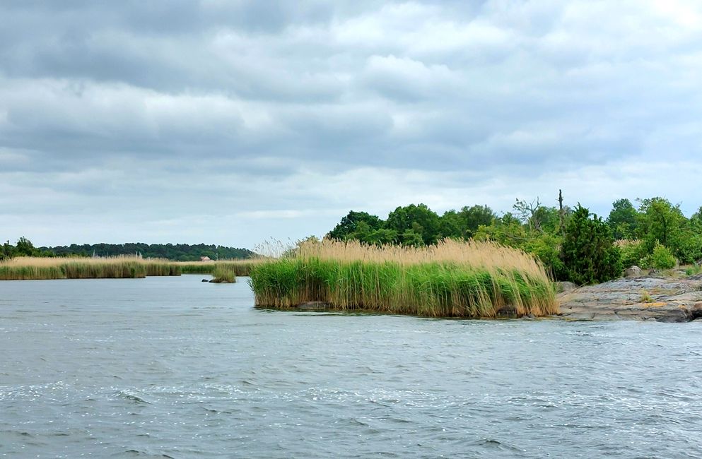 Southern Sweden Tour - Day 6