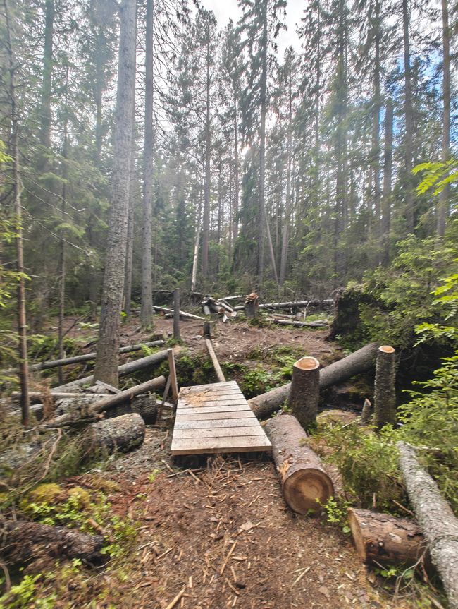 Parque Nacional Skoleskogens
