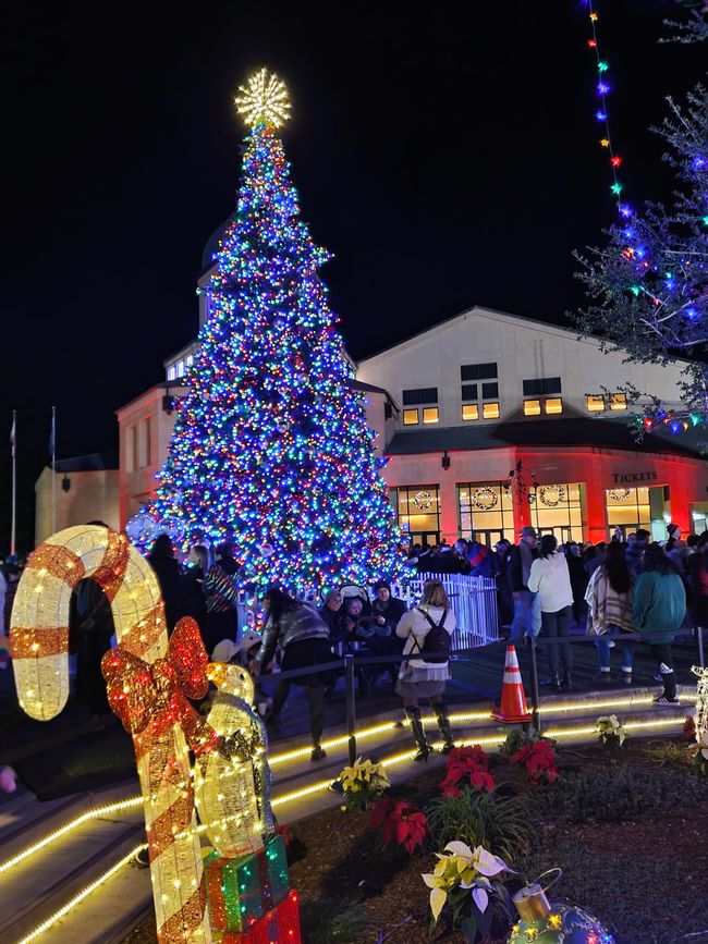 Community Tree Lighting Celebration Mountainview