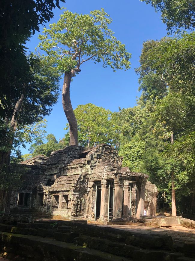 Tempel Ta Prohm