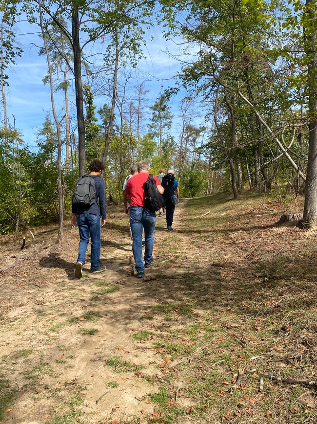 Unsere Wanderung: 22 Meter auf den höchsten Punkt der heutigen Tour