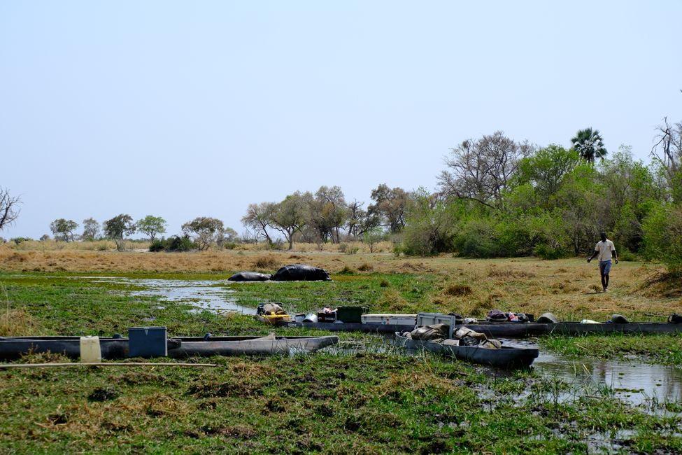 Delta del Okavango 🇧🇼