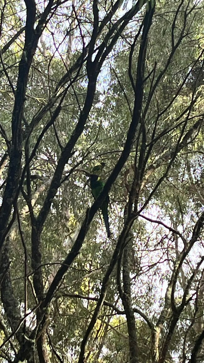 Margaret River