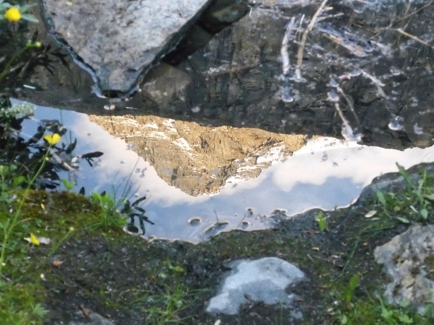 Spiegelung in der Pfütze 