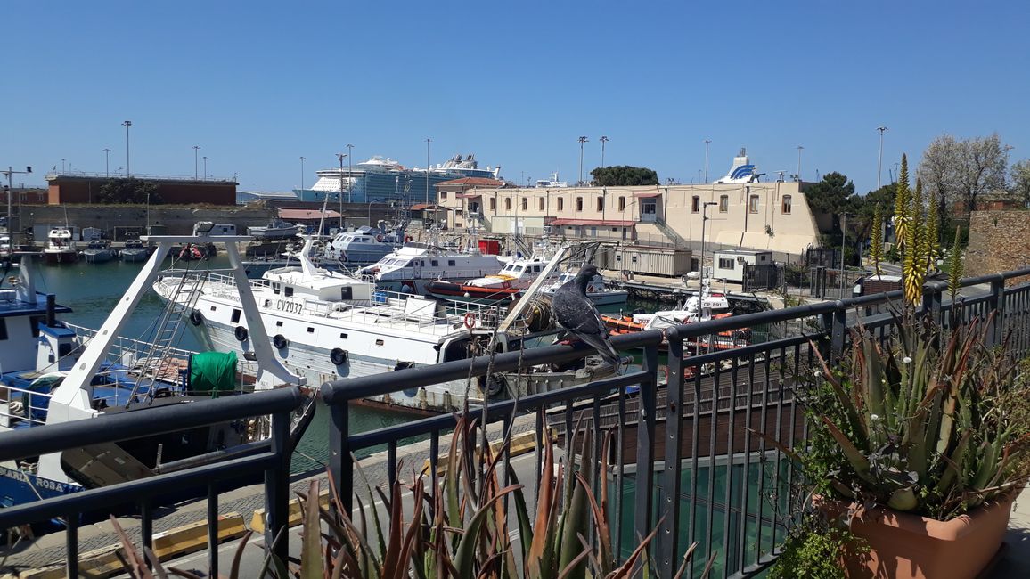 Der Hafen mit Fischerbopten und Luxuslinern