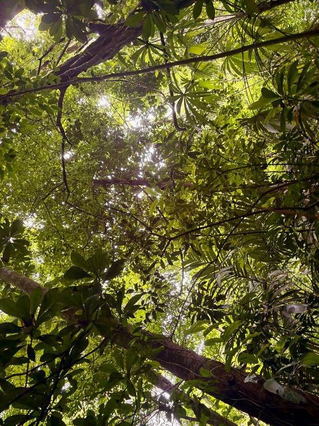 Unterwegs in Costa Rica