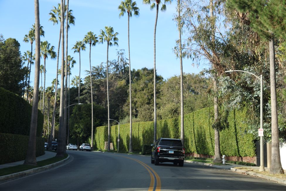 Hollywood