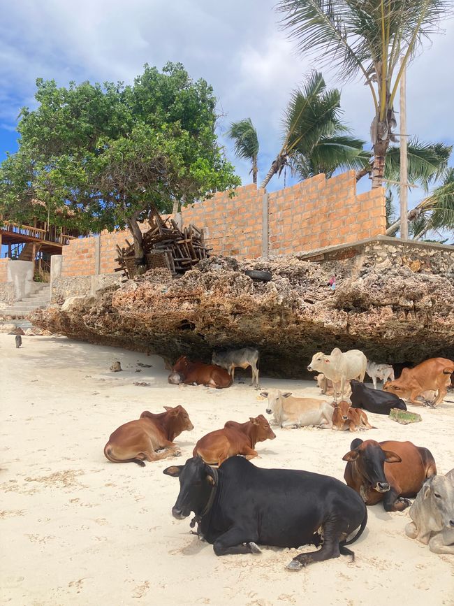 Nungwi Beach - Zanzíbar