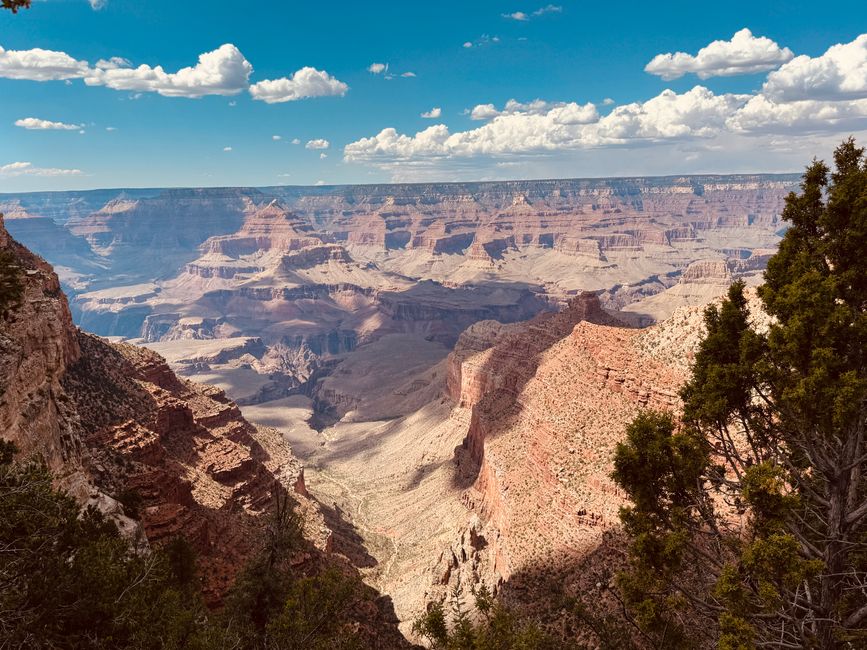 Grandview Trail