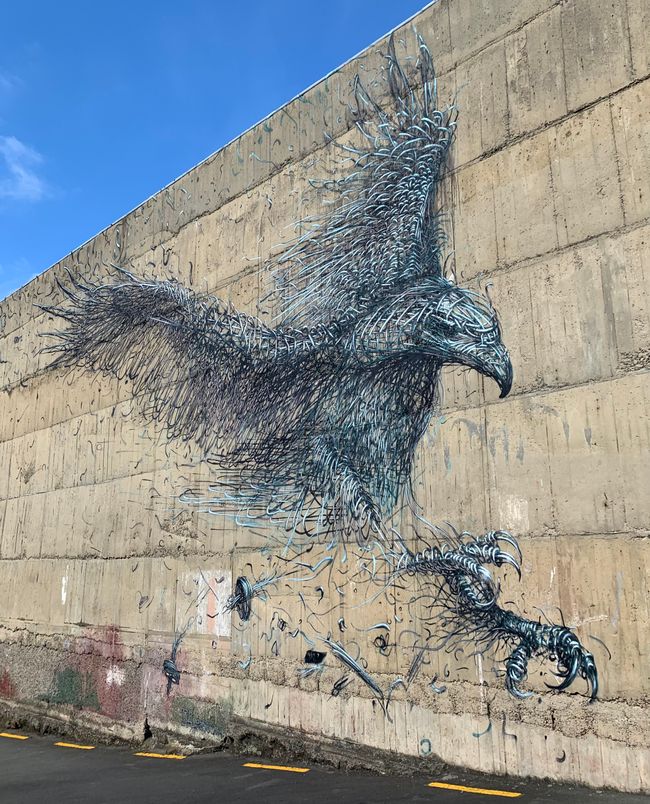 Dunedin and Taiaroa Head