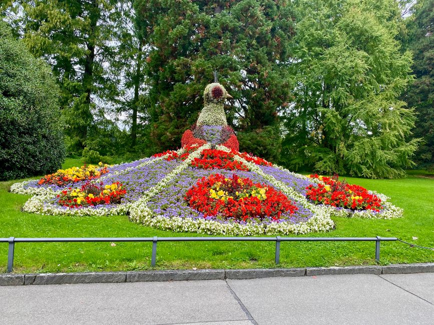2. Tag in der Nähe von Konstanz 
