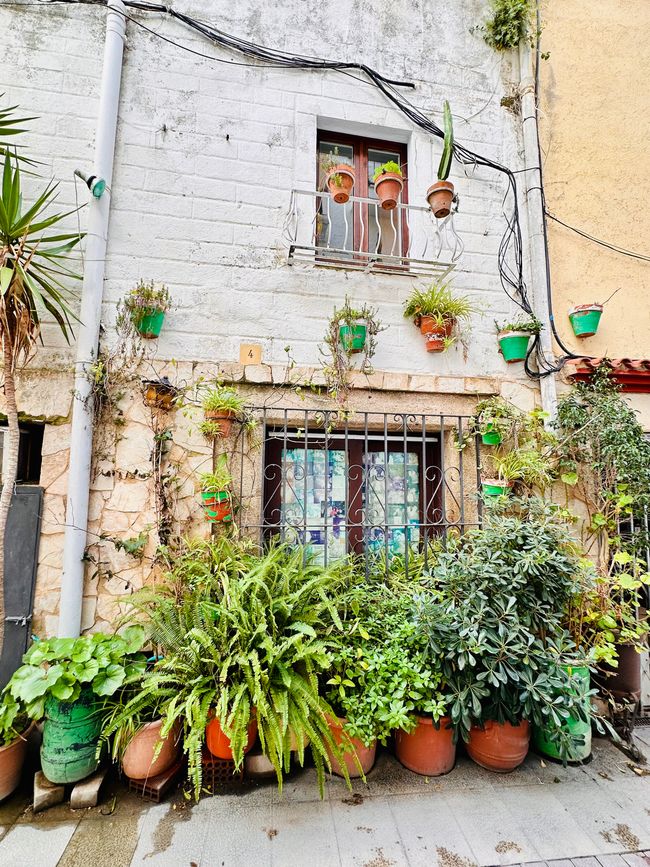 Uns geht’s gut, Danke! 
Küstenstrasse von Sant Feliu de Guíxols bis Tossa de Mar