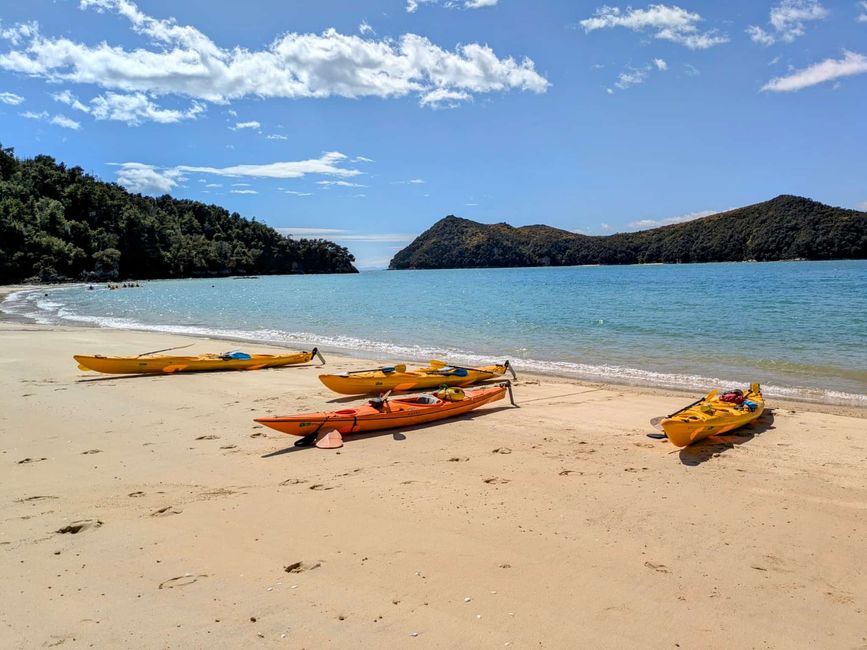 Mit dem Kajak raus auf die Sandy Bay im Abel Tasman-NP