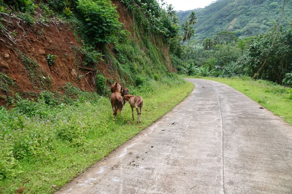Nuku Hiva ....
