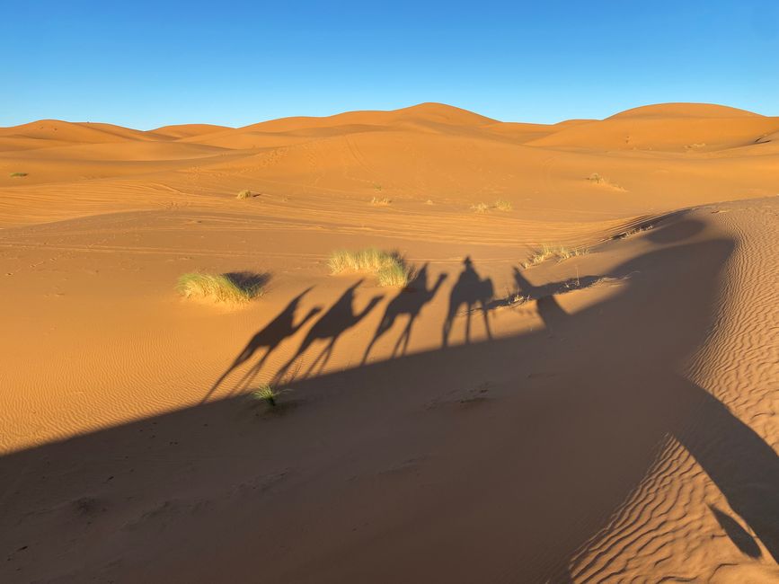 The sand dunes of Erg Chebbi appear to be endless from this perspective