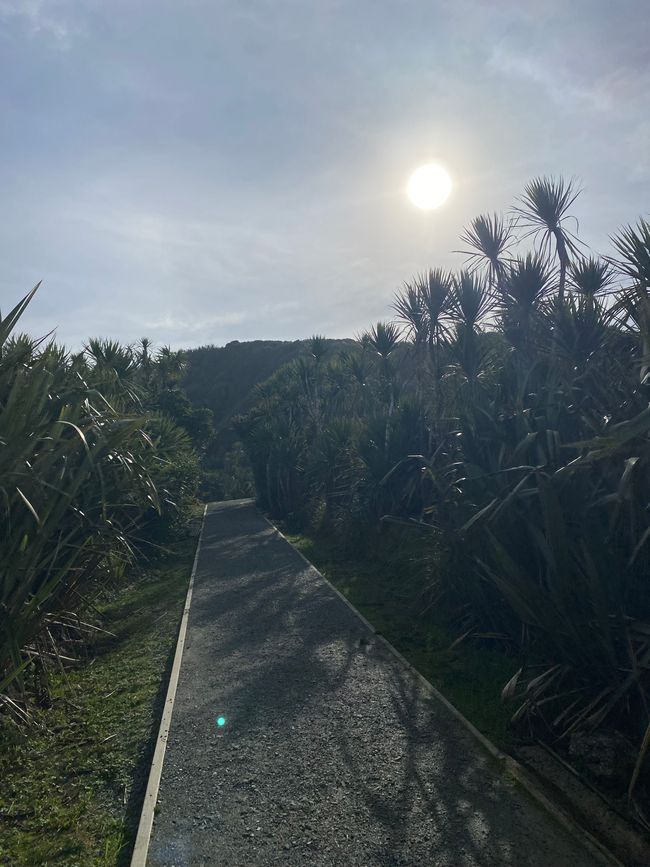 Da Hokitika a Carters Beach