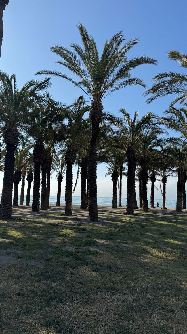 Mit Wohnmobil von Malaga nach Hause