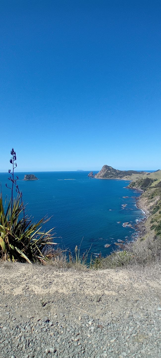 Coromandel Norte