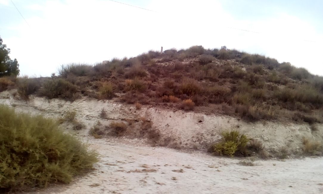 Foto di Cortijo del Cura (Galera, Granada) (agosto 2021)