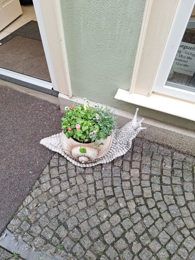 Visita a la ciudad imperial medieval de Mühlhausen