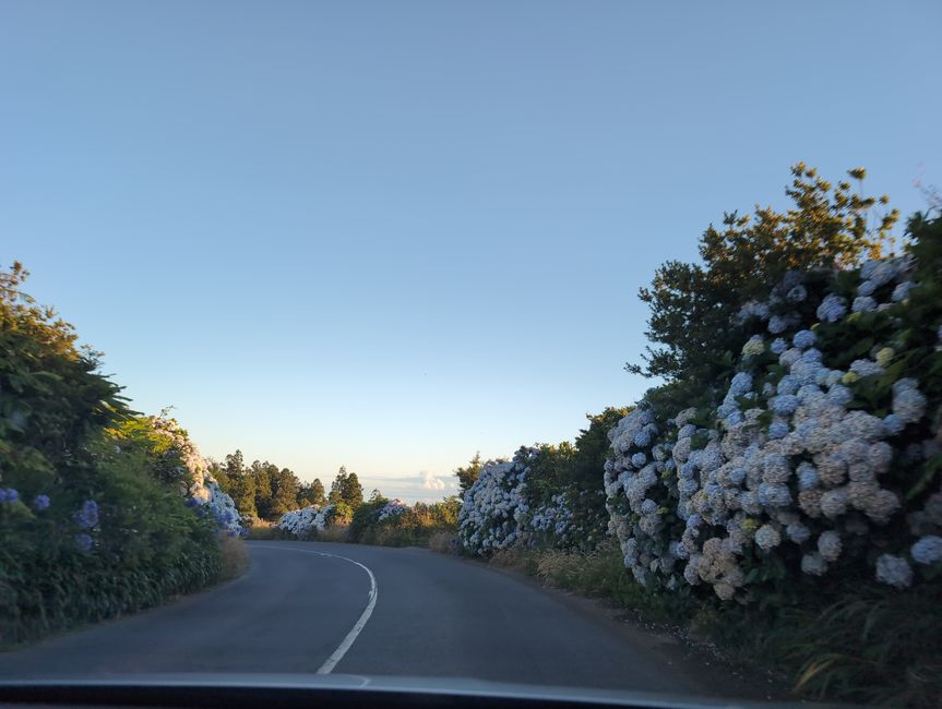 Soap boxes and another caldera