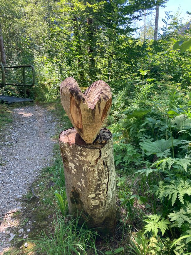 Genusswanderung zum Wertacher Hörnle