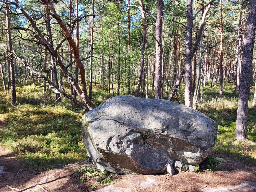 Sentier Toftåsa Moor - Parc national d'Åsnen