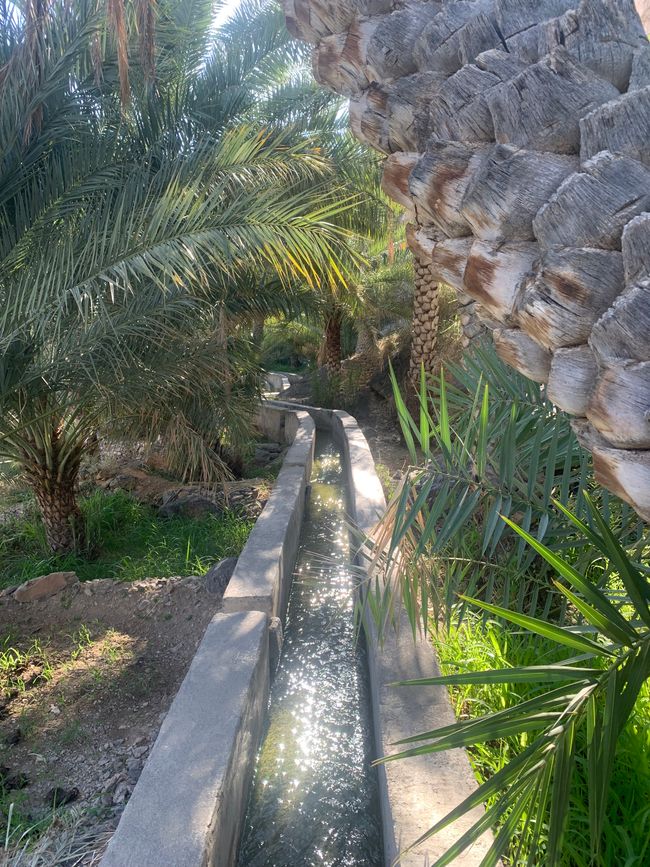 Nizwa e dintorni