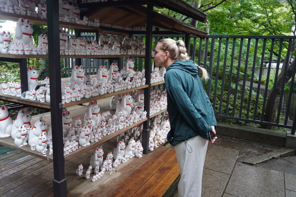 Regentag in Tokio